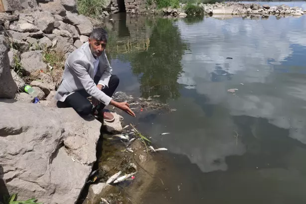 Profesörden Dicle Nehri’ndeki Balık Ölümleri Uyarısı